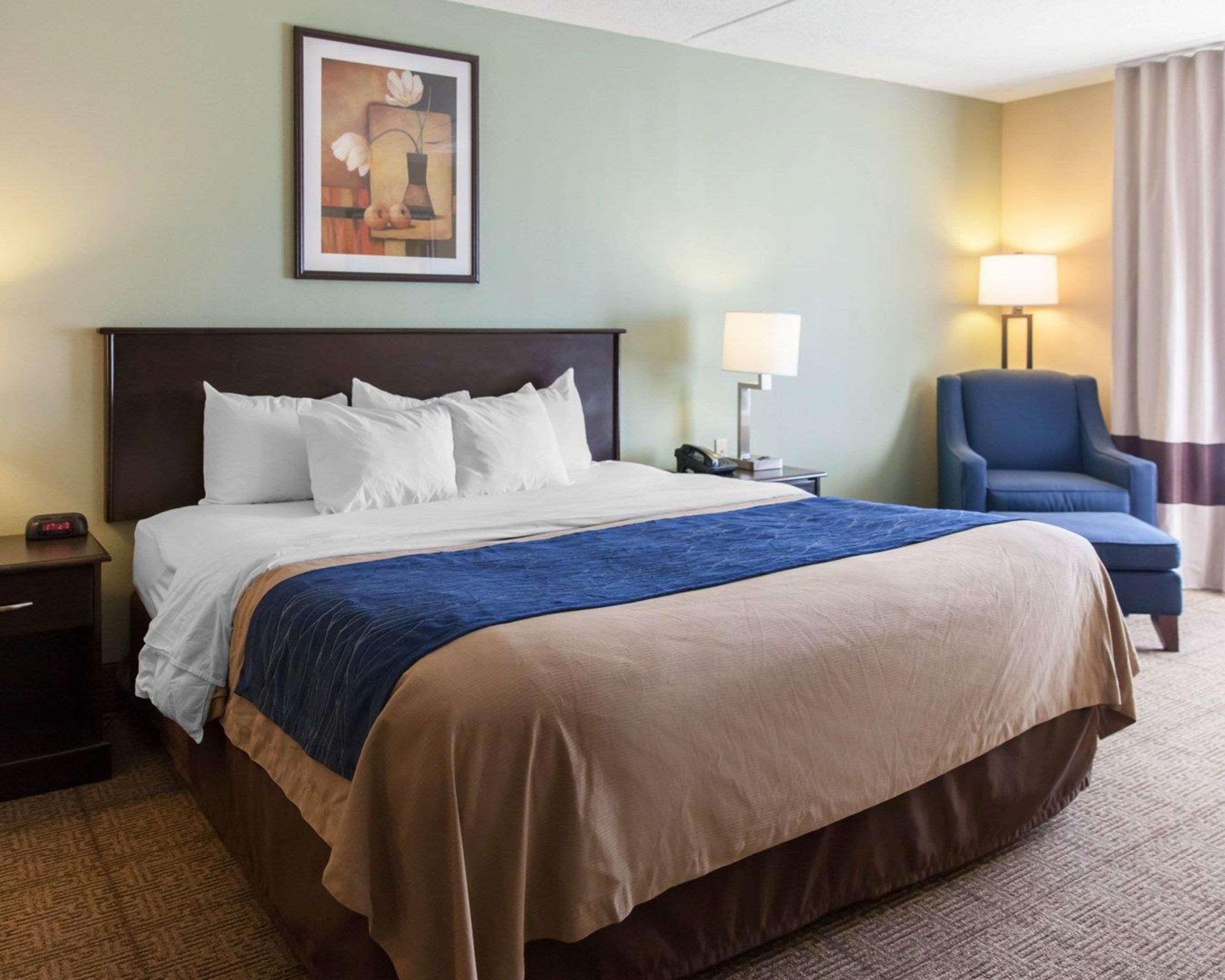 דמפרייס Comfort Inn Near Quantico Main Gate North מראה חיצוני תמונה