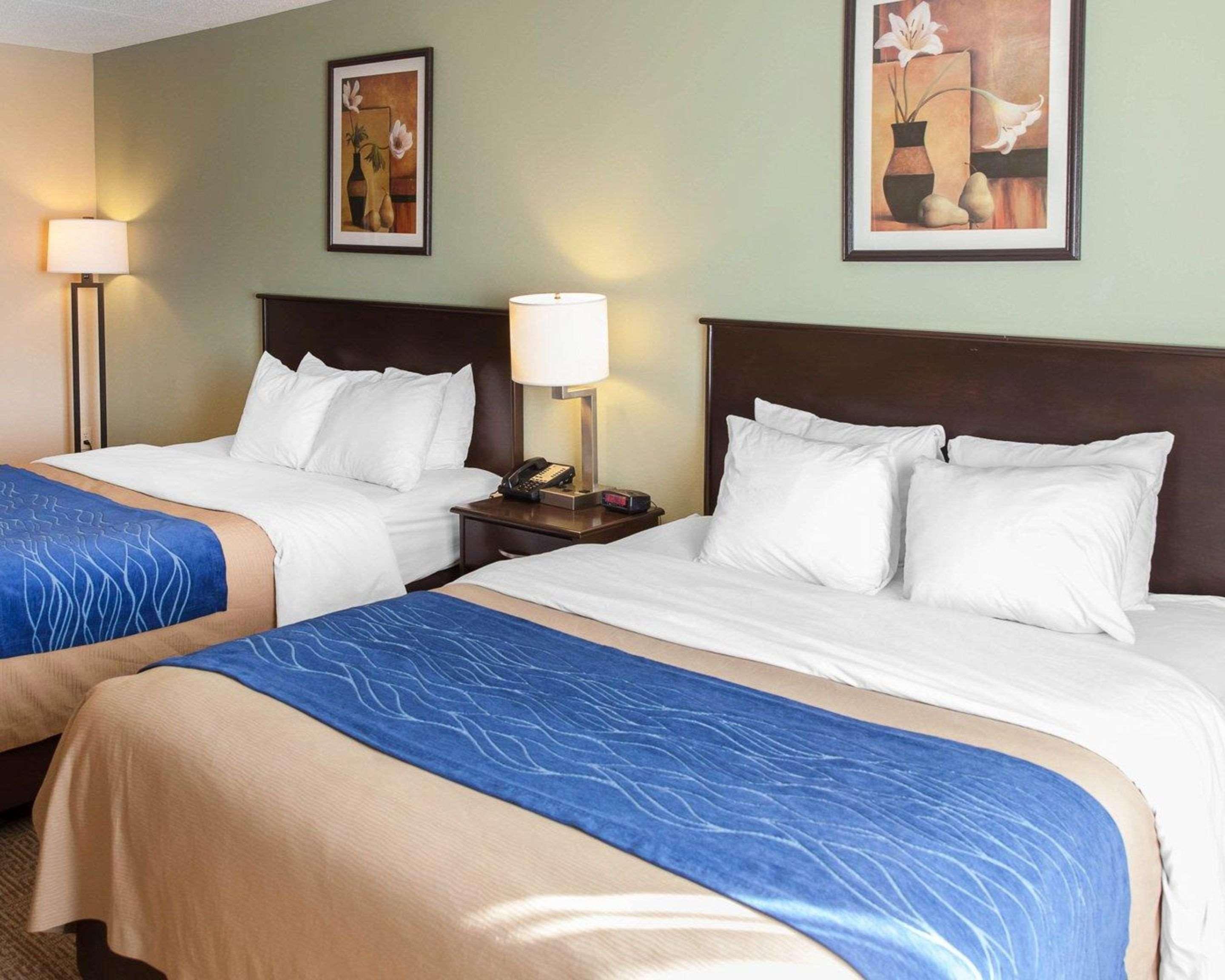 דמפרייס Comfort Inn Near Quantico Main Gate North מראה חיצוני תמונה