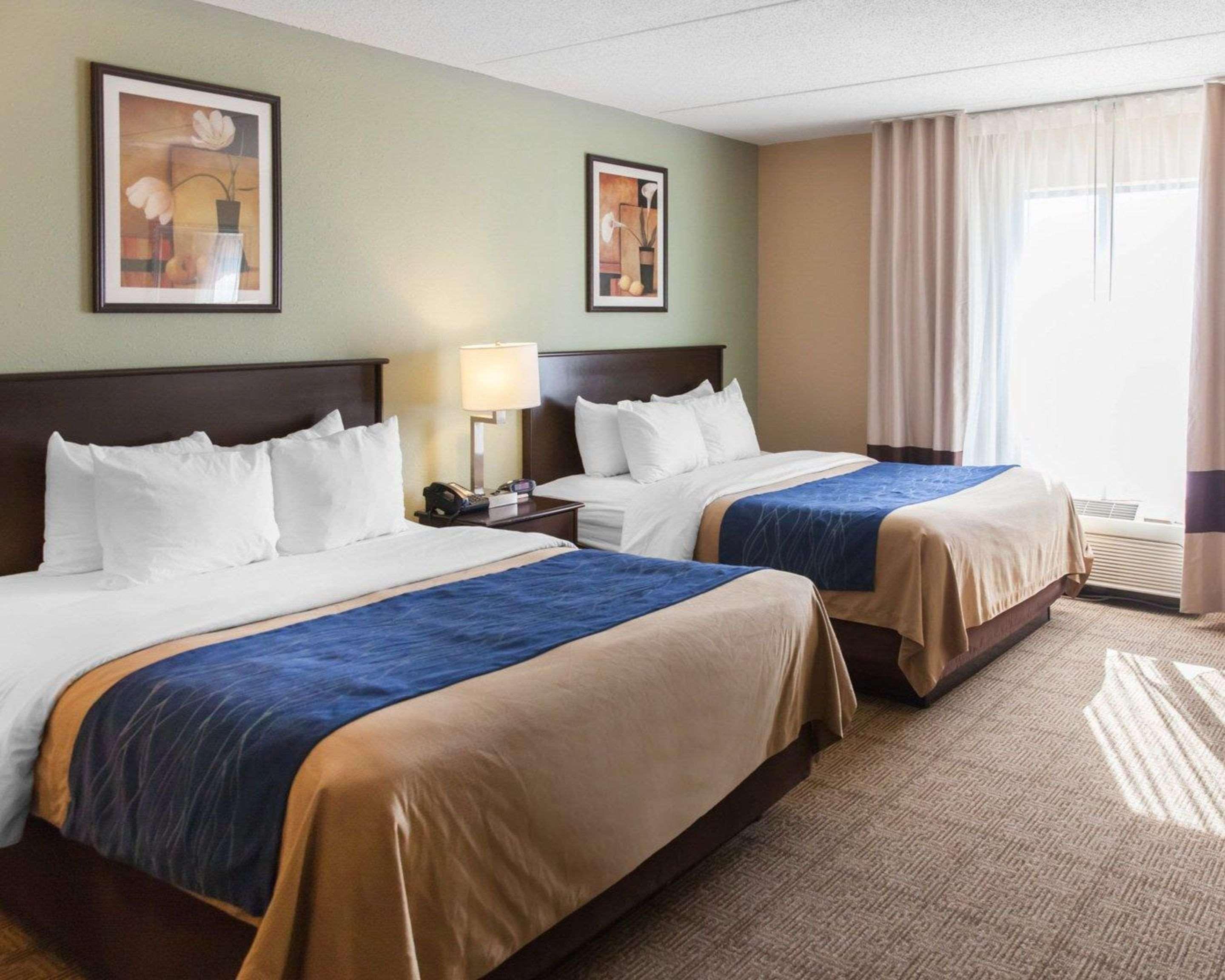 דמפרייס Comfort Inn Near Quantico Main Gate North מראה חיצוני תמונה