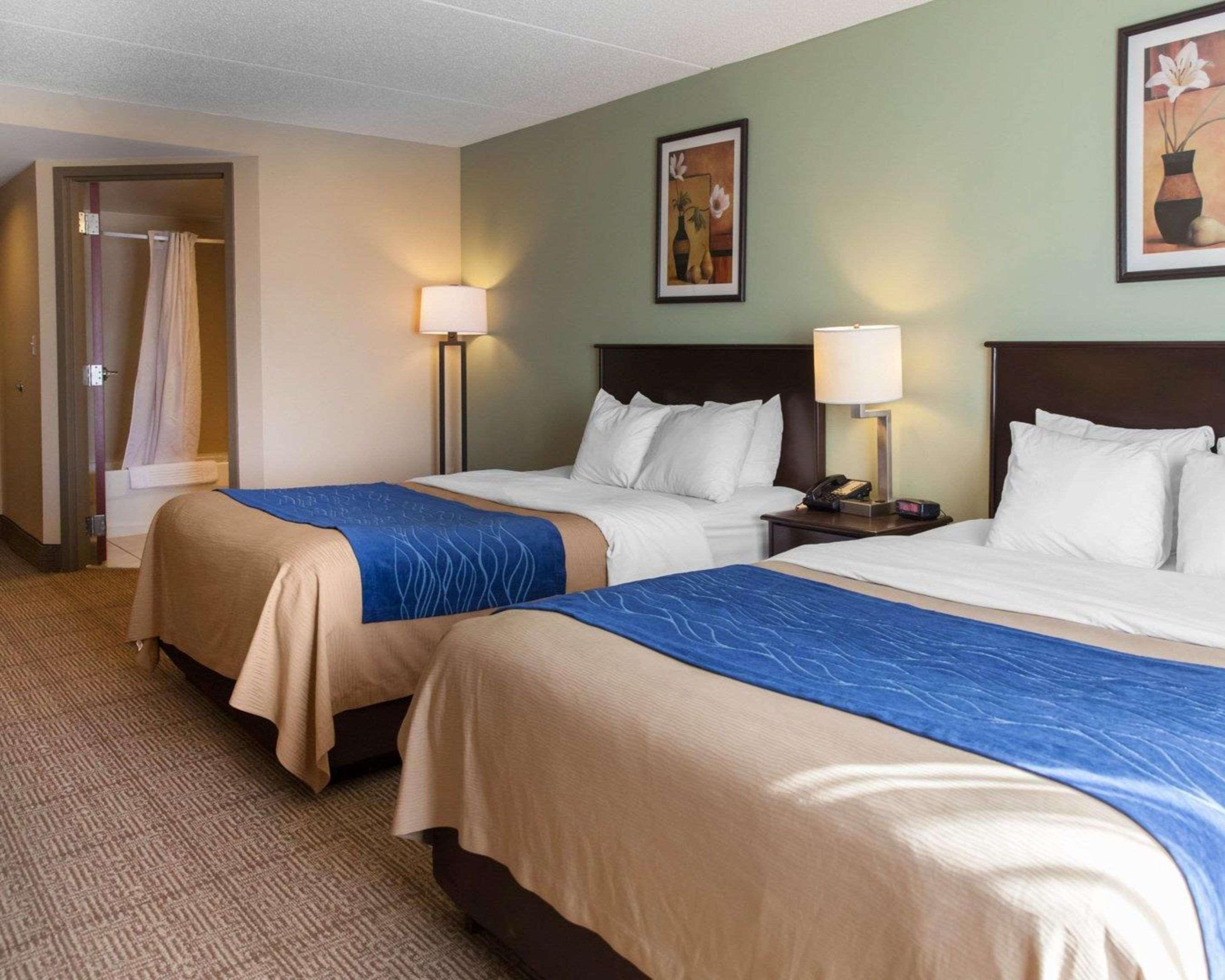 דמפרייס Comfort Inn Near Quantico Main Gate North מראה חיצוני תמונה