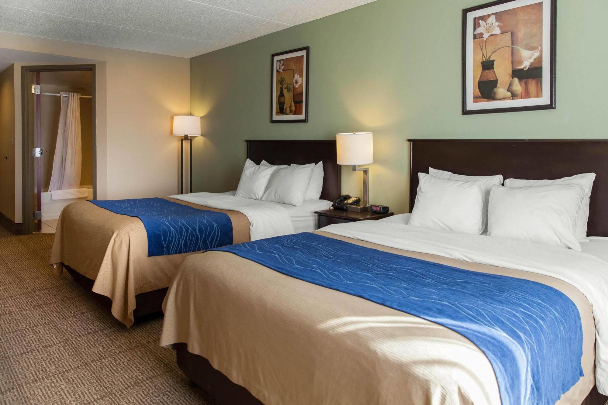 דמפרייס Comfort Inn Near Quantico Main Gate North מראה חיצוני תמונה