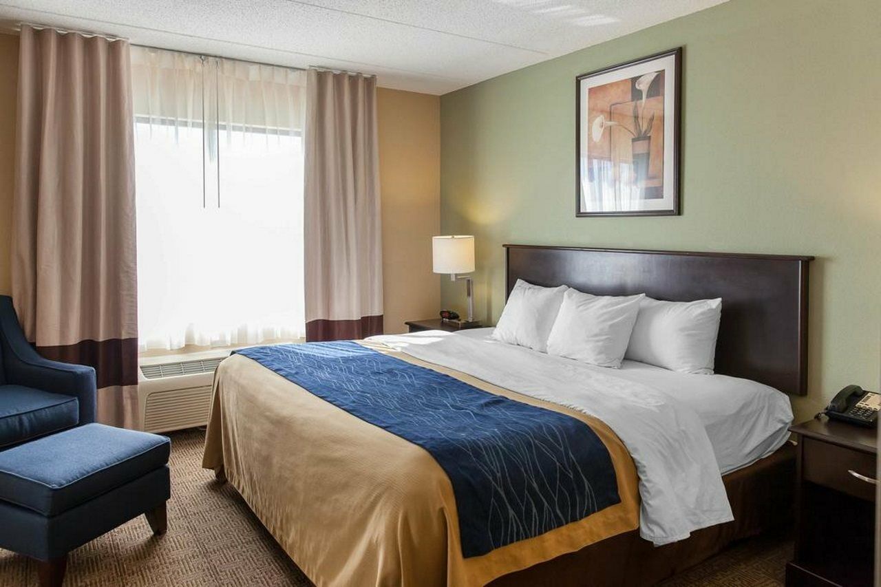 דמפרייס Comfort Inn Near Quantico Main Gate North מראה חיצוני תמונה